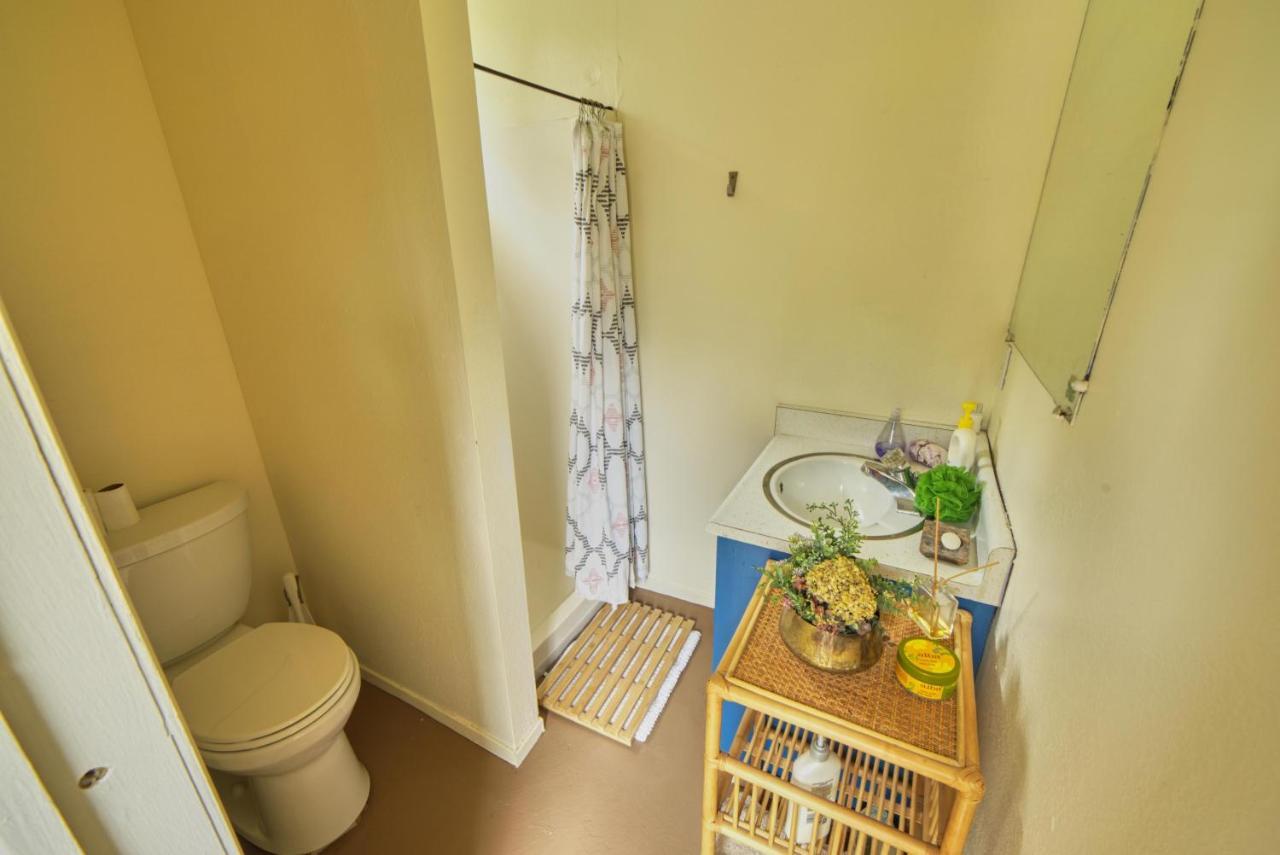 Rivers Breeze Relaxing Riverside Cabin With Private Suite Kayaks Healdsburg Exterior photo